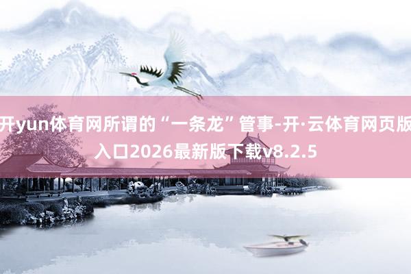 开yun体育网所谓的“一条龙”管事-开·云体育网页版入口2026最新版下载v8.2.5