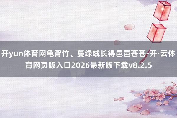开yun体育网龟背竹、蔓绿绒长得邑邑苍苍-开·云体育网页版入口2026最新版下载v8.2.5